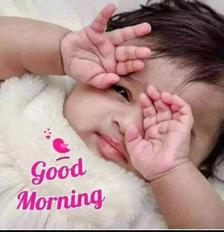@seekkuseekku
