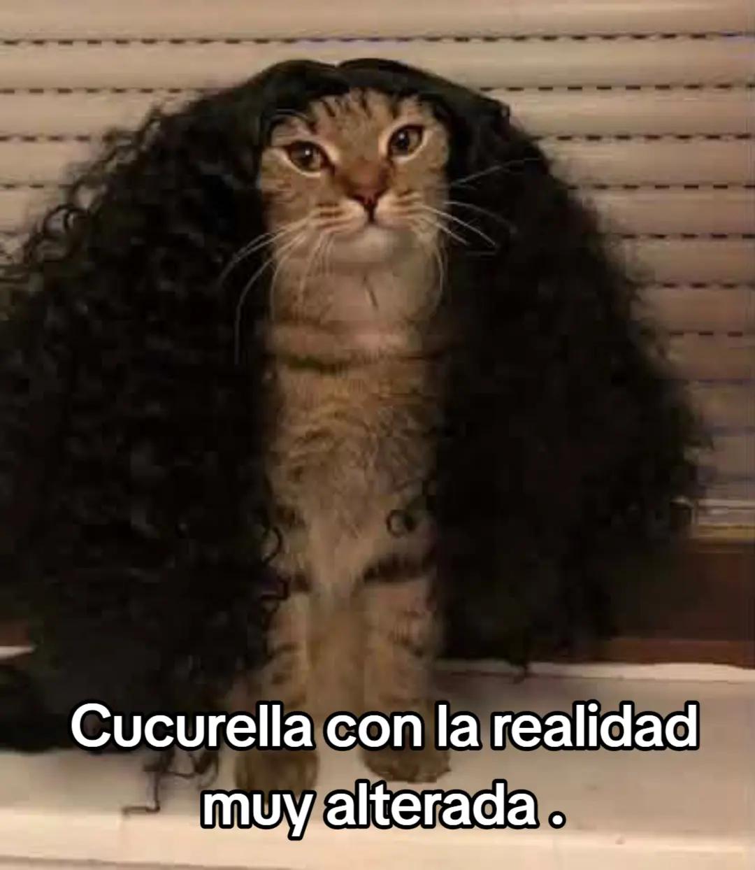 @CR Crro