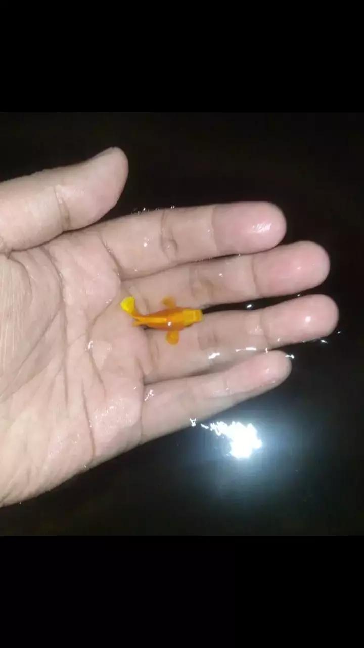 @user61038907595