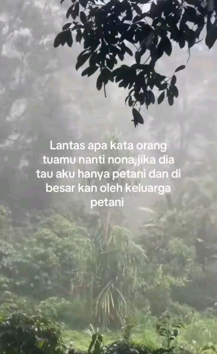 @irdandi 🫶💋