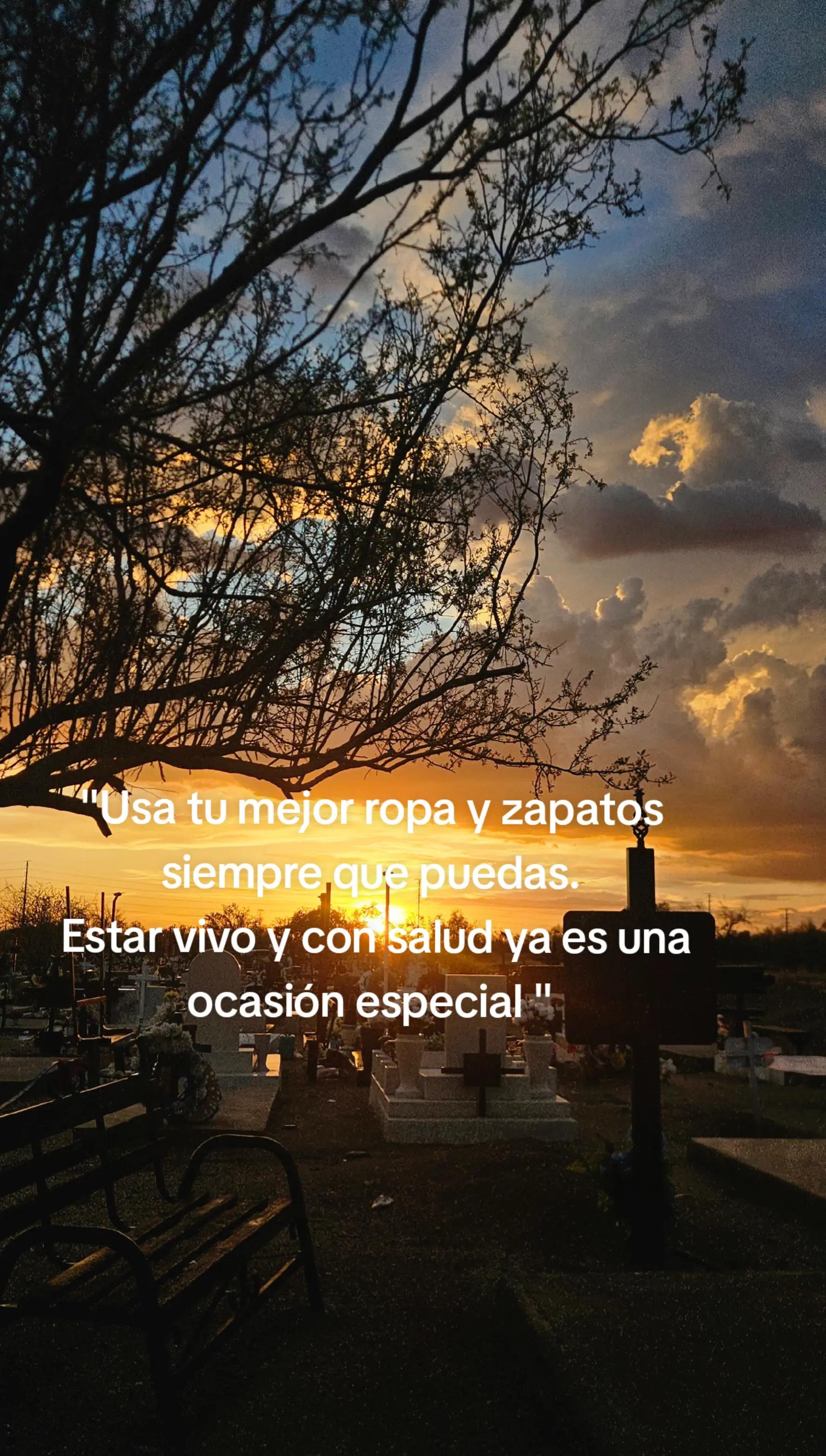 @airam rosas