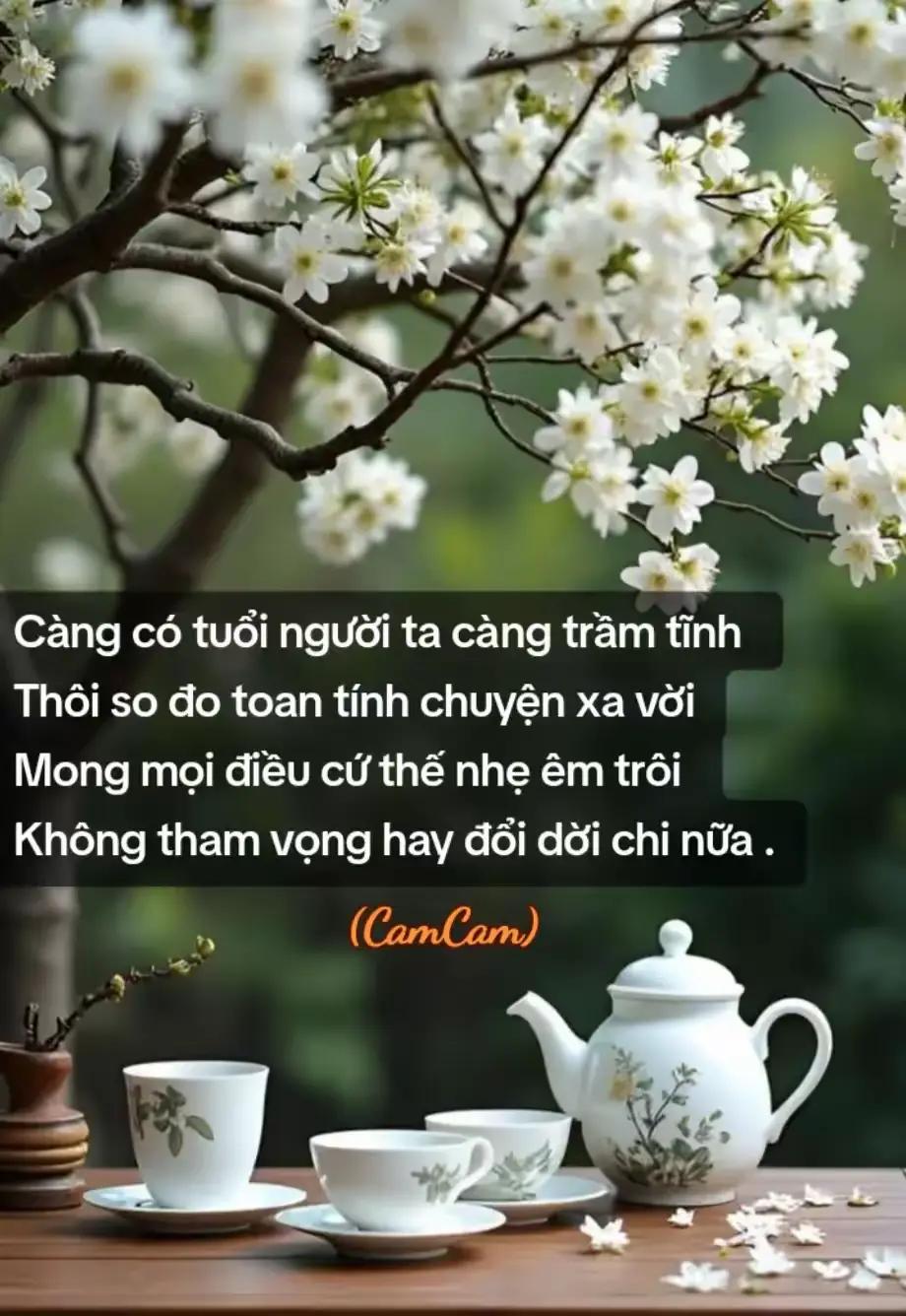 @🍁🍀An Nhiên❤️🩹❤️🩹