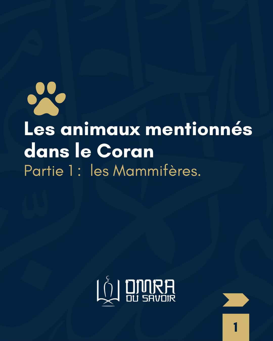 @Omra Du Savoir