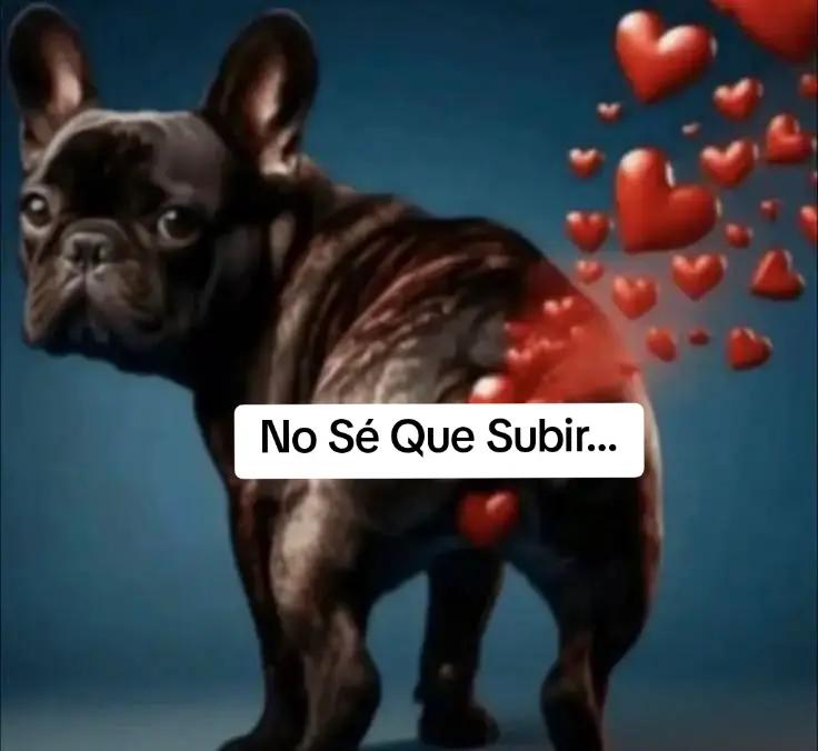@Alfredo