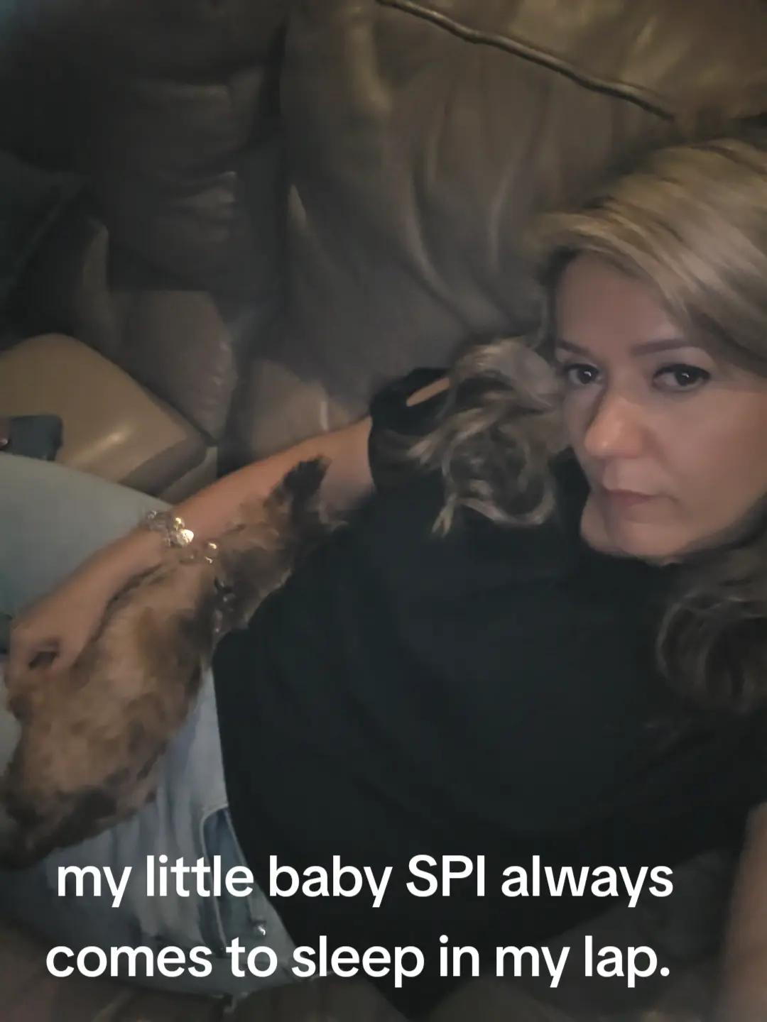 @spi.liciOSO