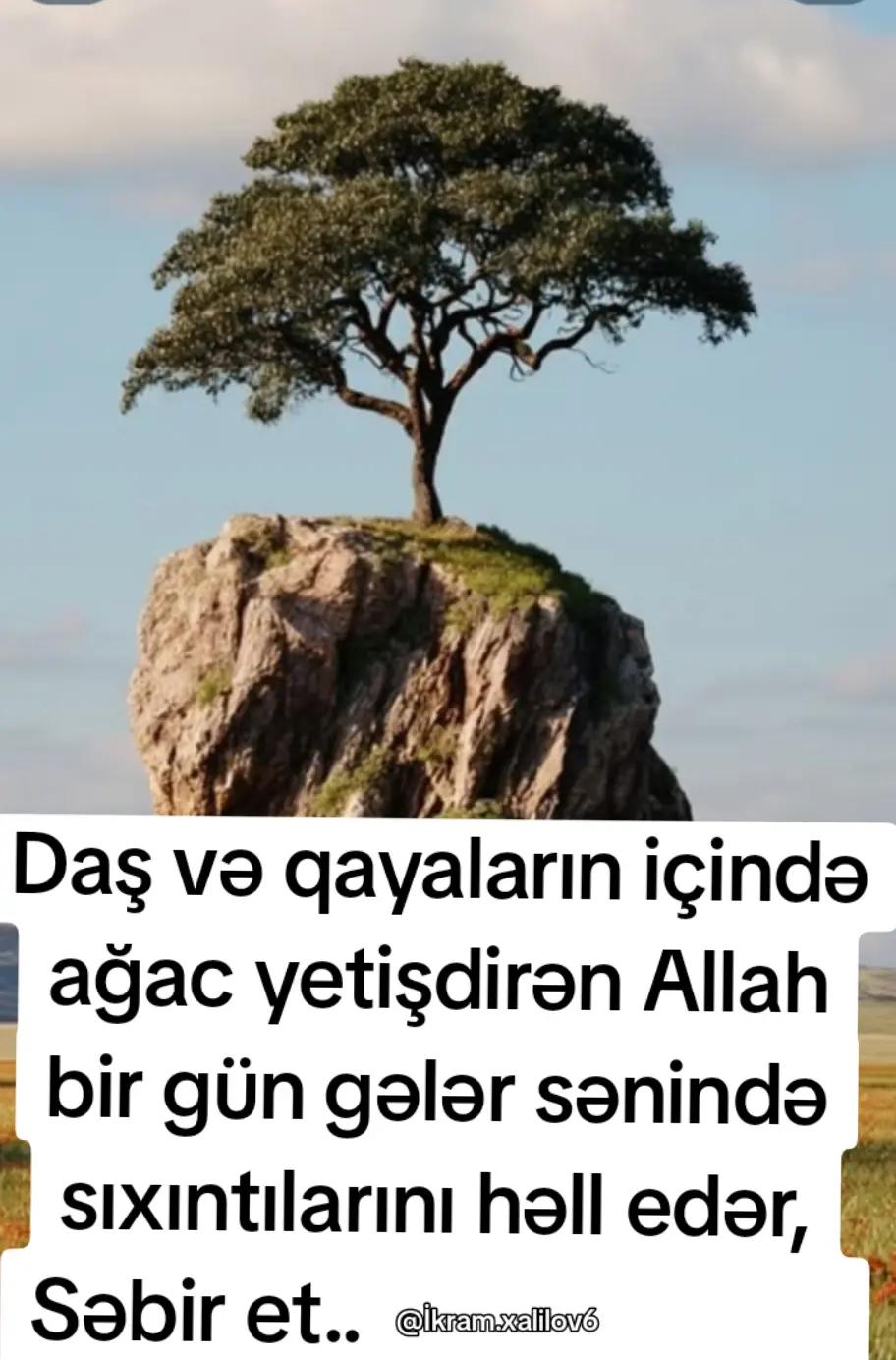 @Ikram Xalilov