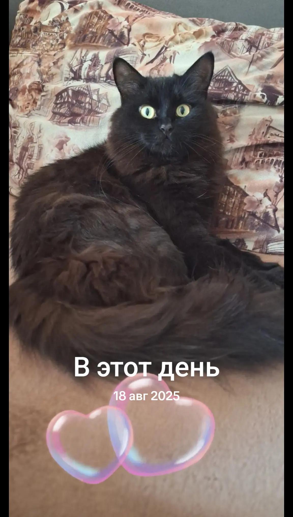 @Инесса