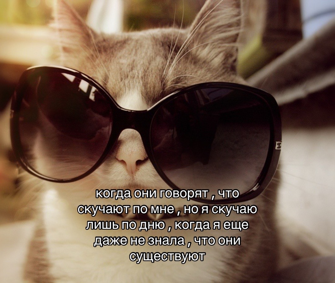 @๐๐1๐๐๐๐๐๐๐๐
