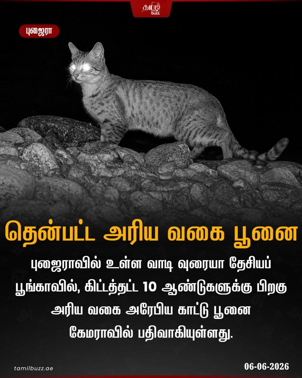 @TamilBuzzDubai