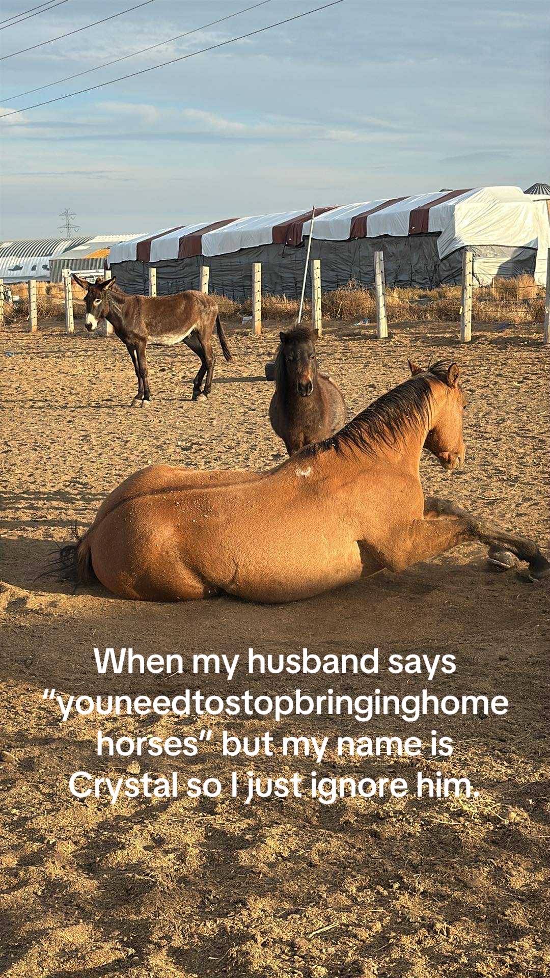 @Crystal | Mom life | Farm life