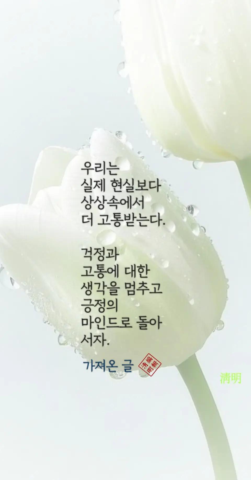 @시인/이정범(淸明)