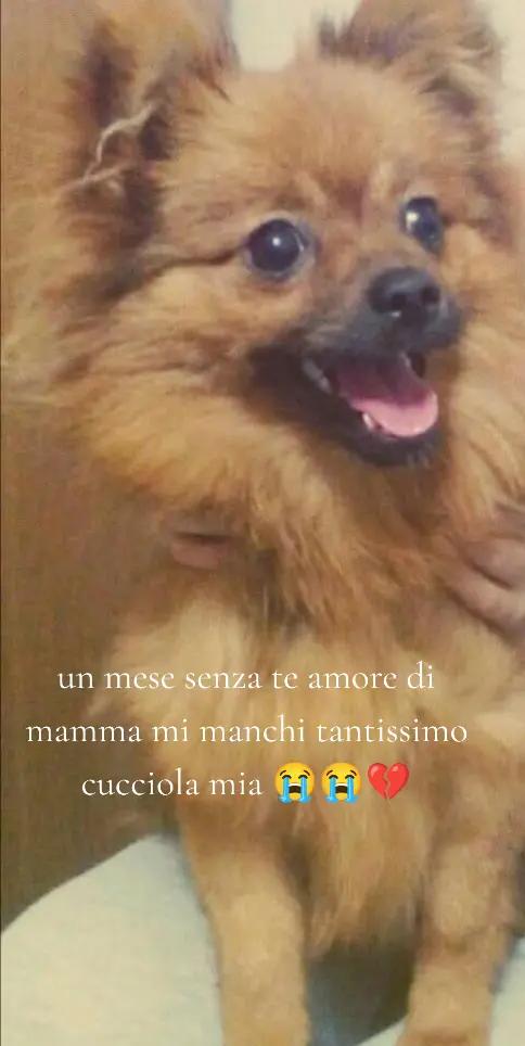 @Carmela Aiello