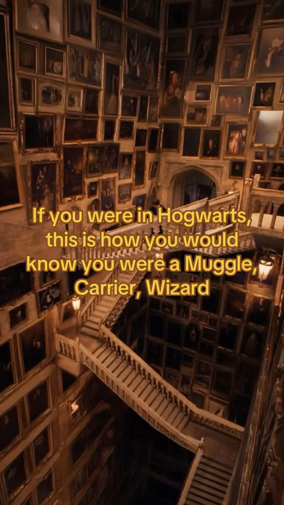 @WizardsAndWitchlings