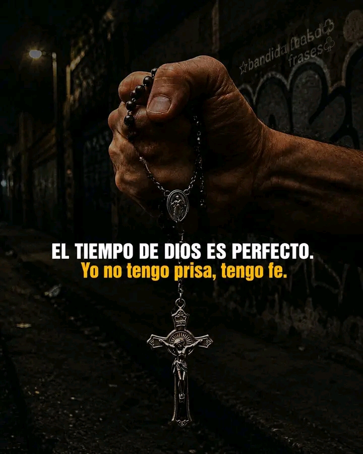 @lobo guerrero 🧑🦽🦿