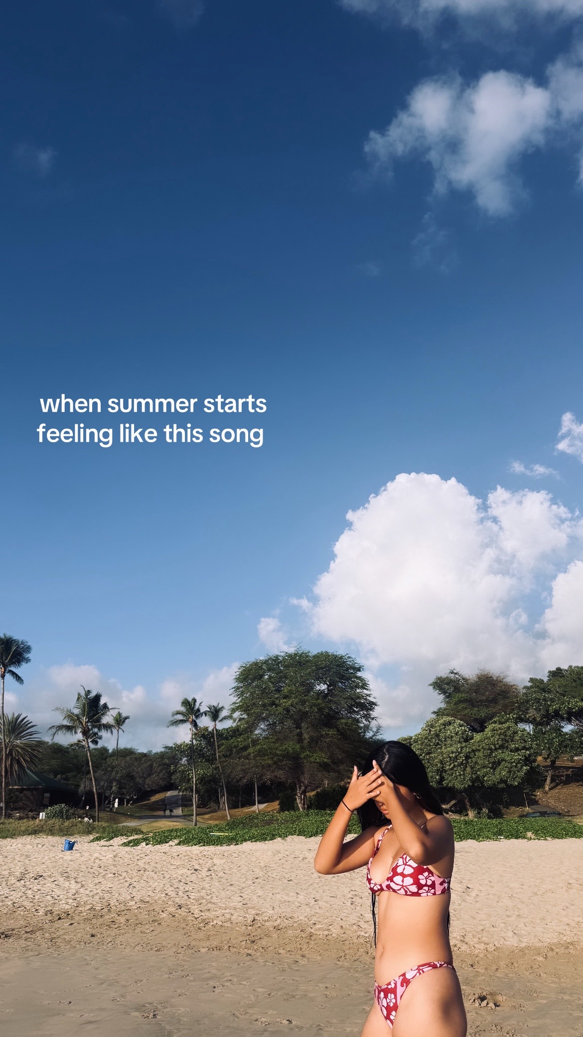 @🍃