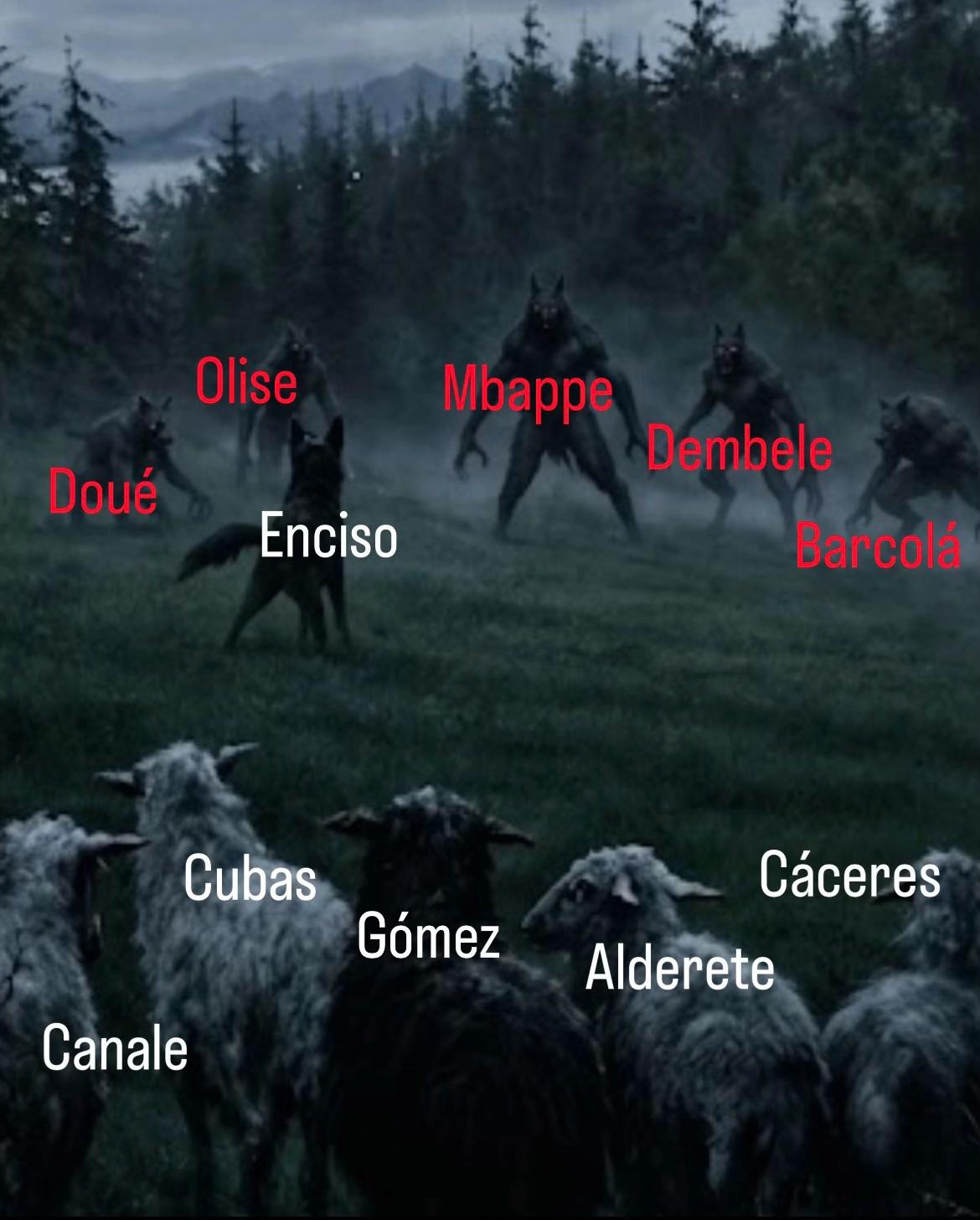 @Virgi Cardozo