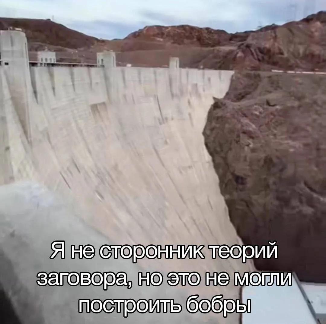@Заходит Черепаха в Бар