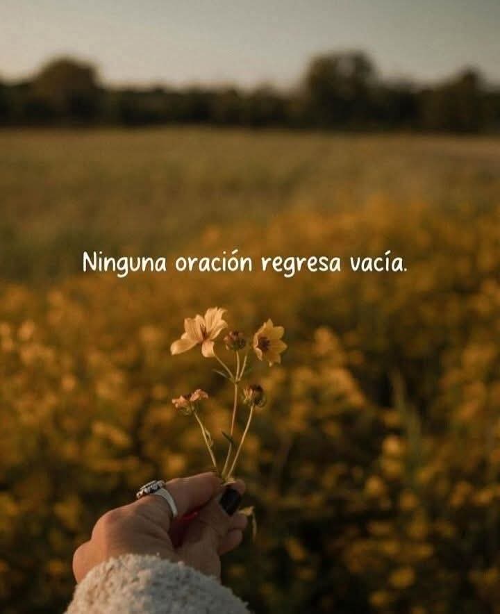 @Milagro ✈️🖥📲