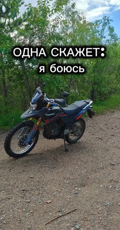 @Король