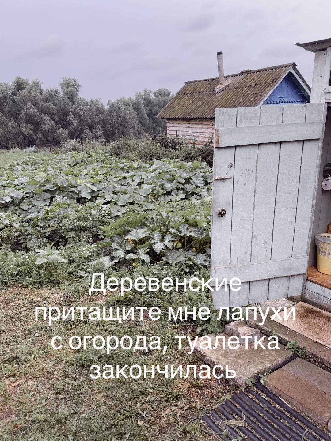 @Зкс