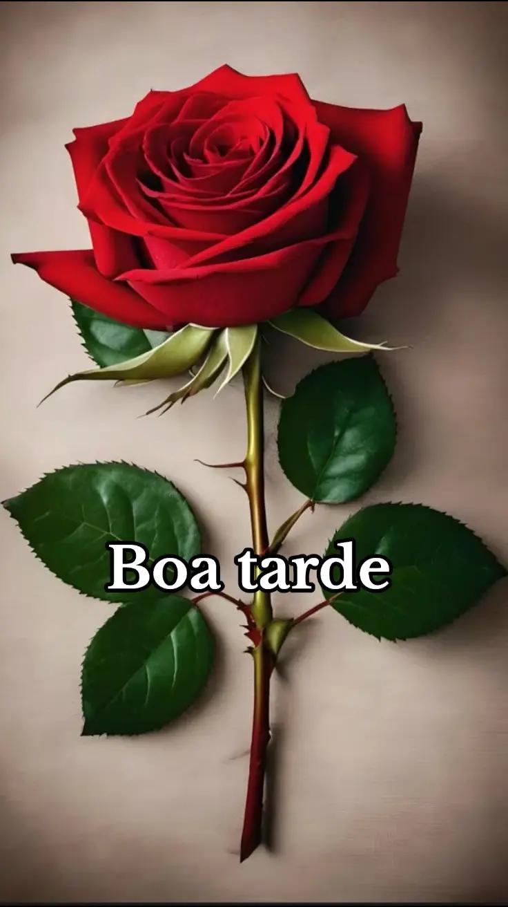@❤Cláu🦋cris❤