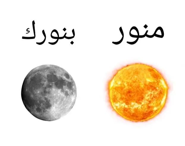 @yoyo_._