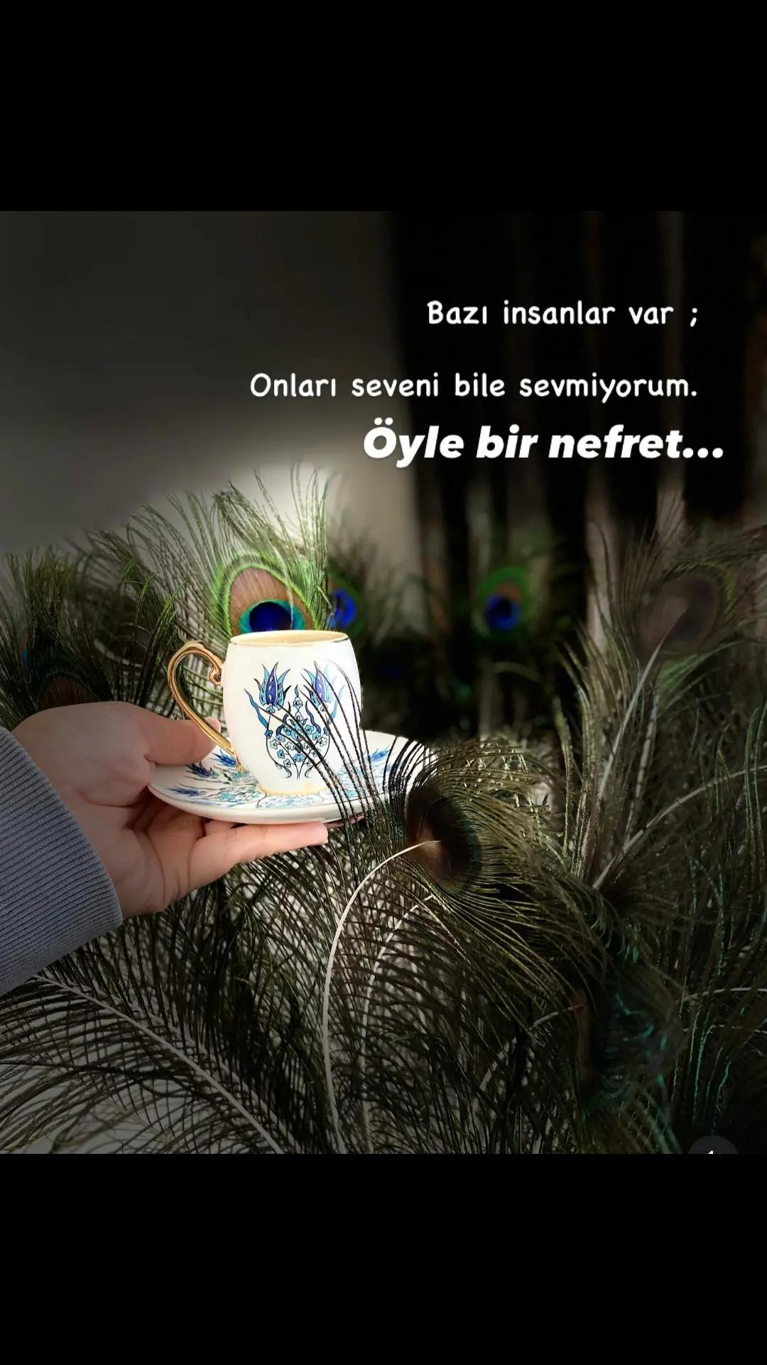 @hayattan izler