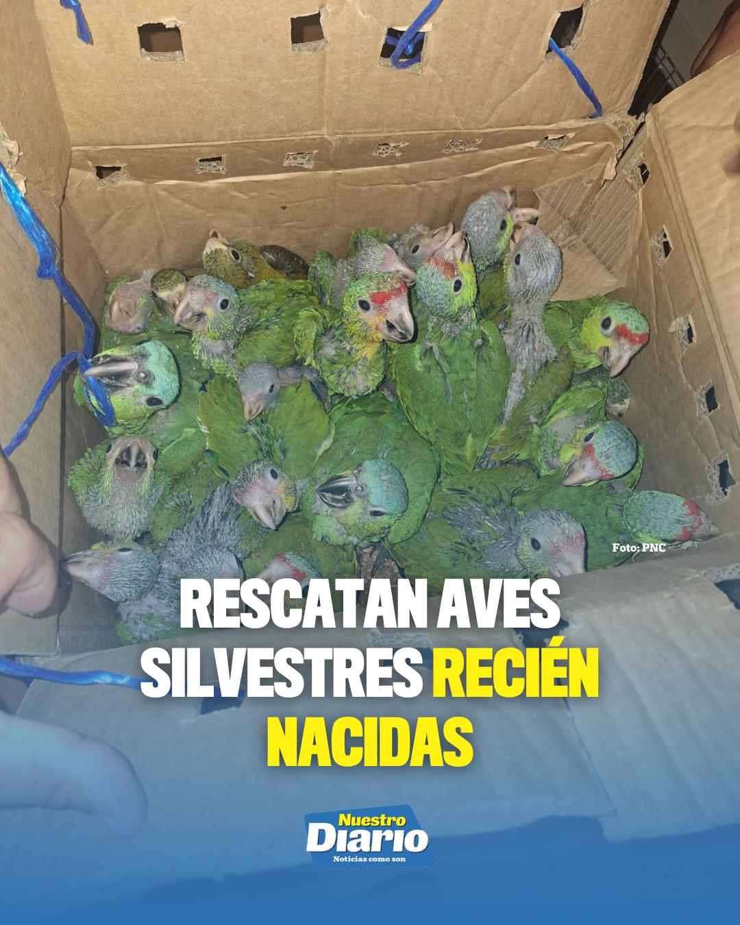 @Tiktok oficial Nuestro Diario