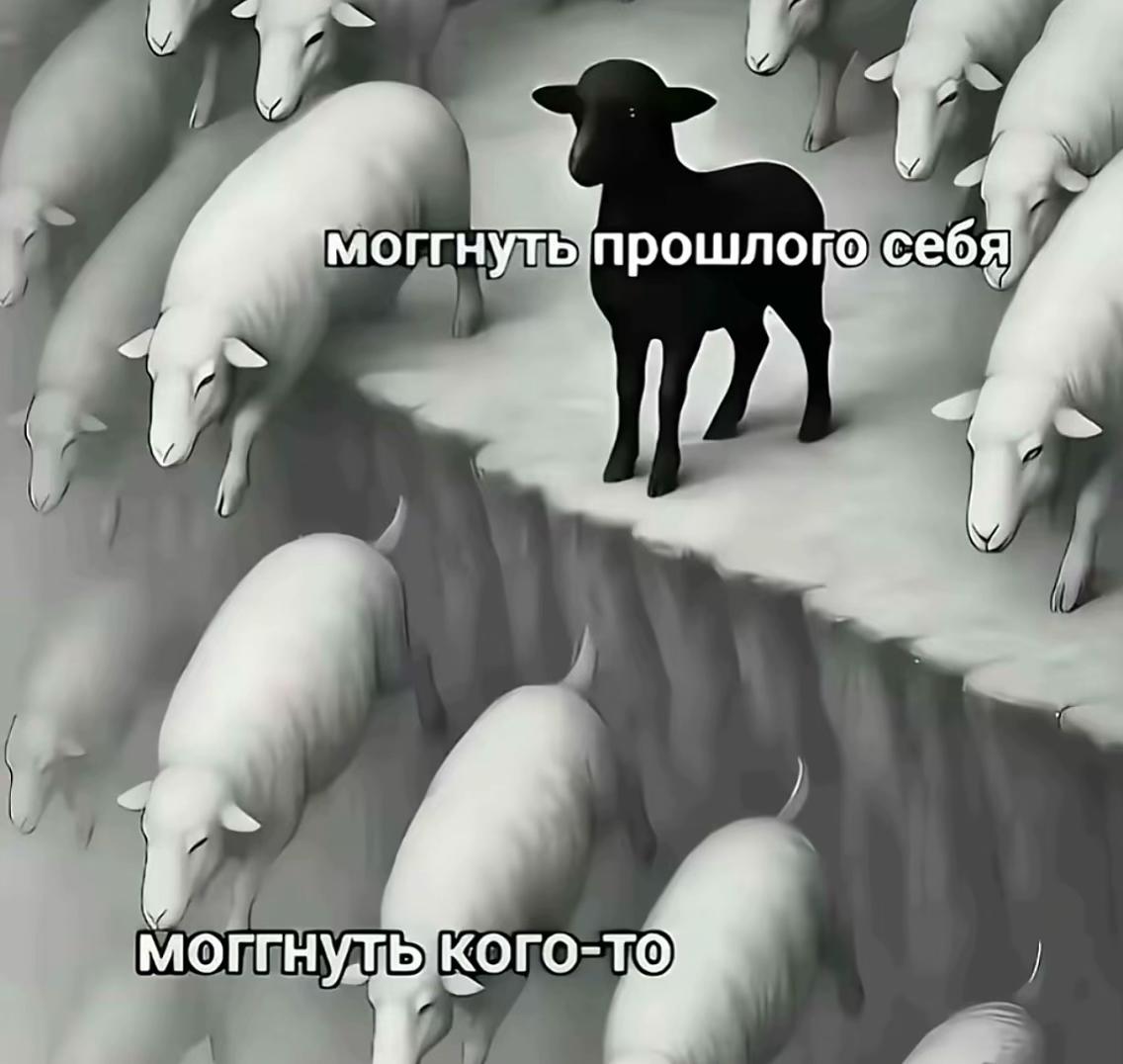 @никсафр