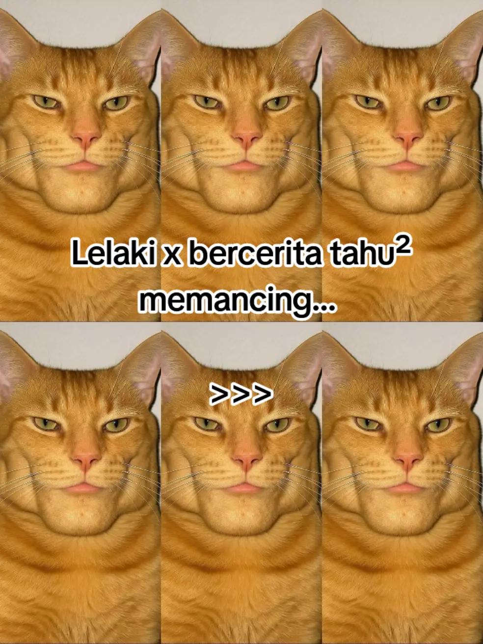 @HykalSazer01