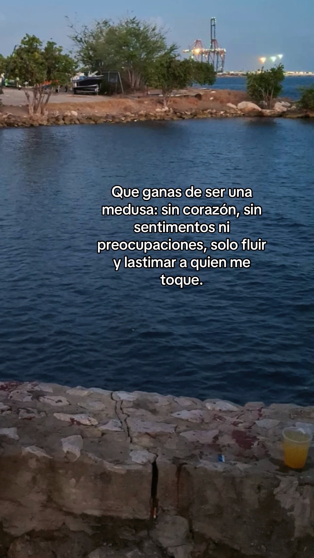 @Yanirka Enid