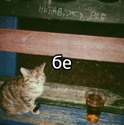 @Гав гав