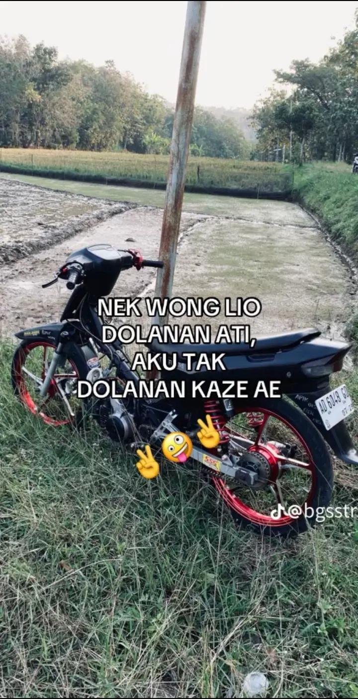 @GERZN