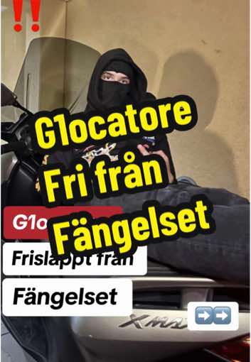 @MicCheck Sverige