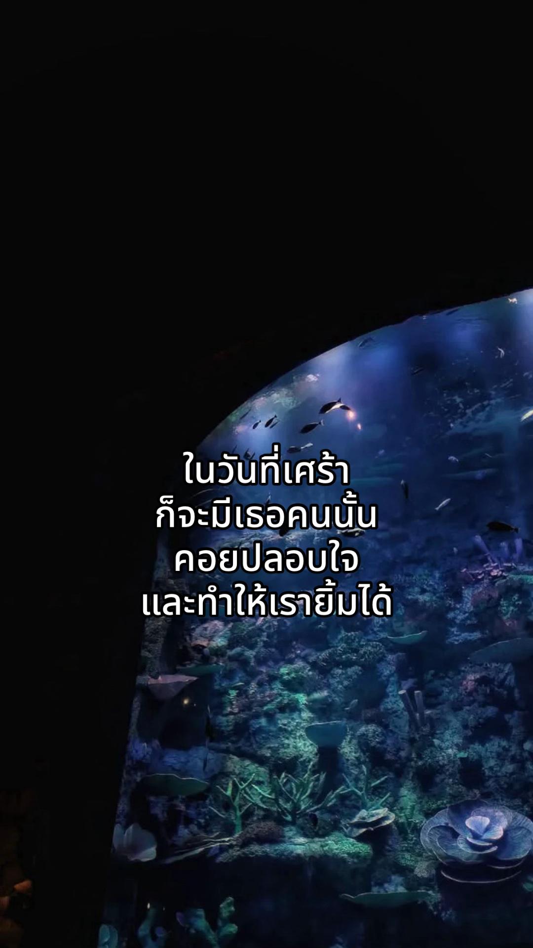 @ไทป์หมาแก่.🐶💤