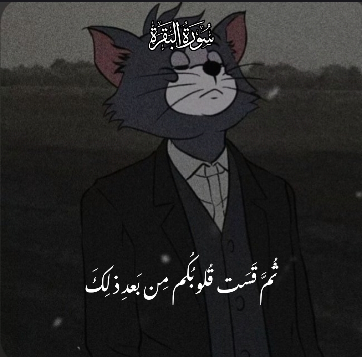 @صدقة جارية🤍