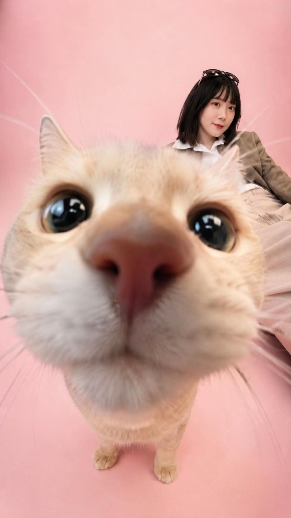 @Meow