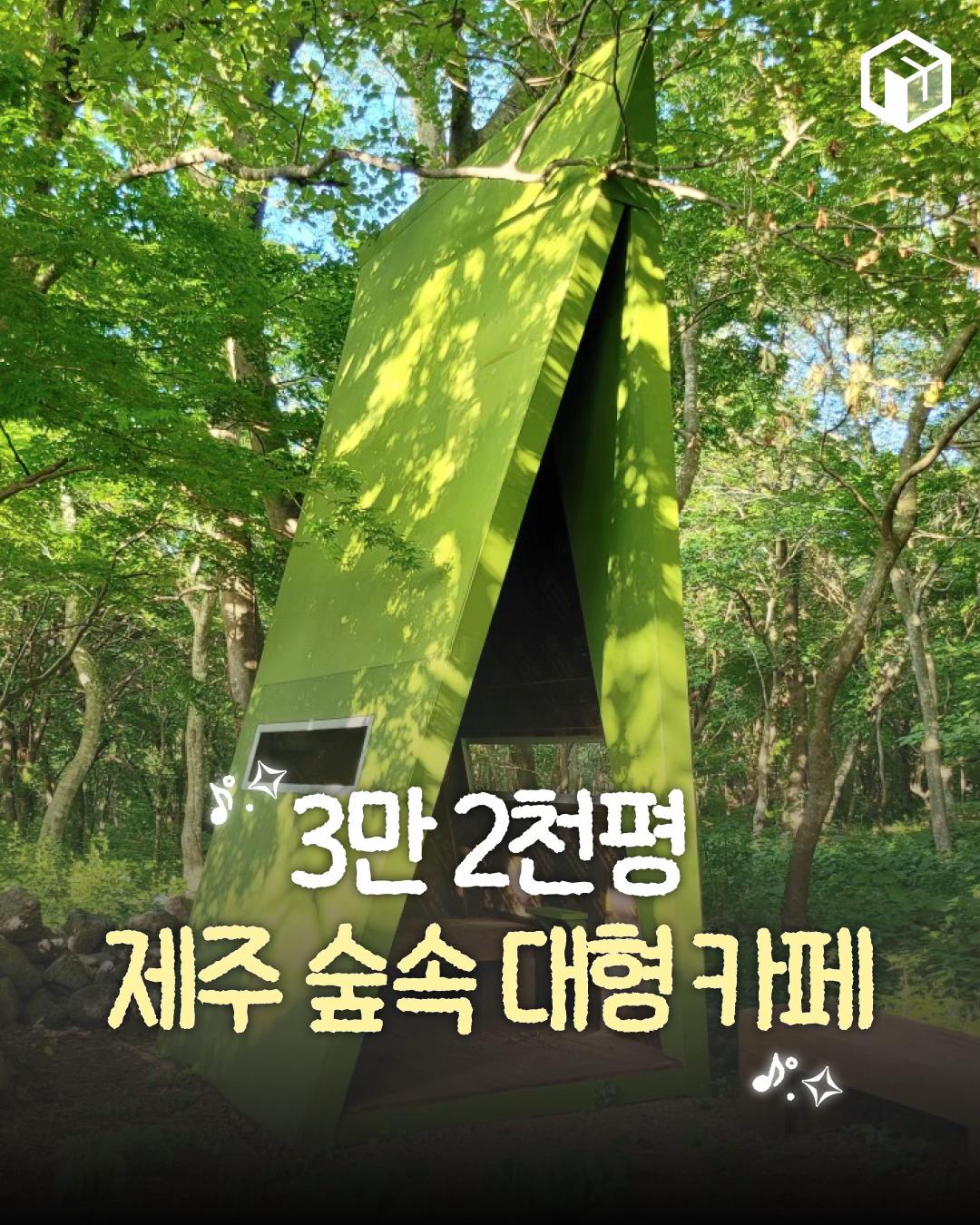 @제주톡톡