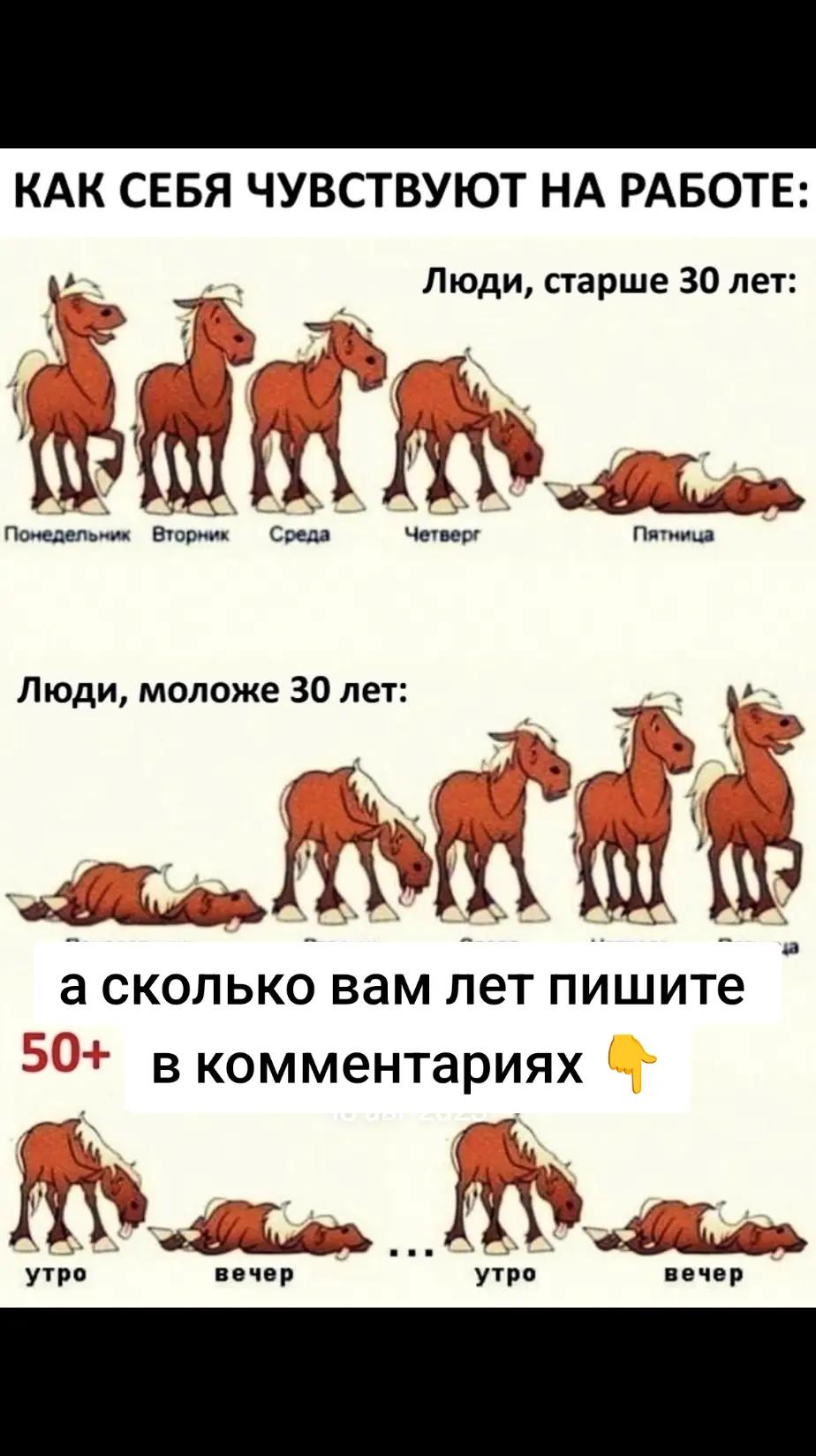 @Nebo v tvoih glazax 🇷🇺
