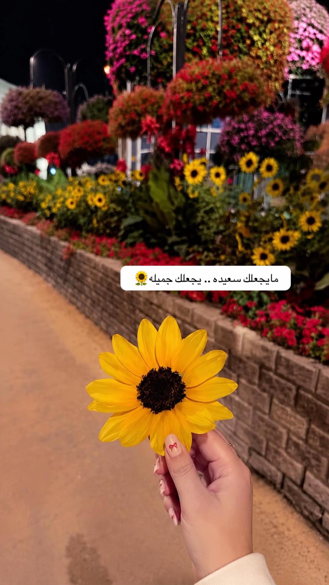 @خواطر العتيبي 👑