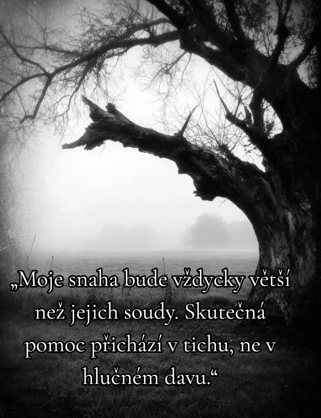 @🇨🇿 J&aacute;ry Ruky🕺