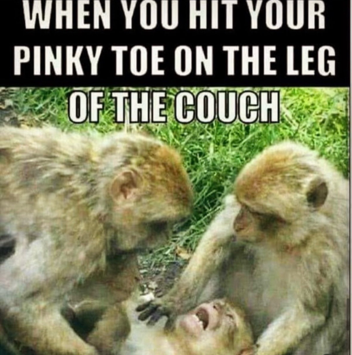 @mysteryladysmile1