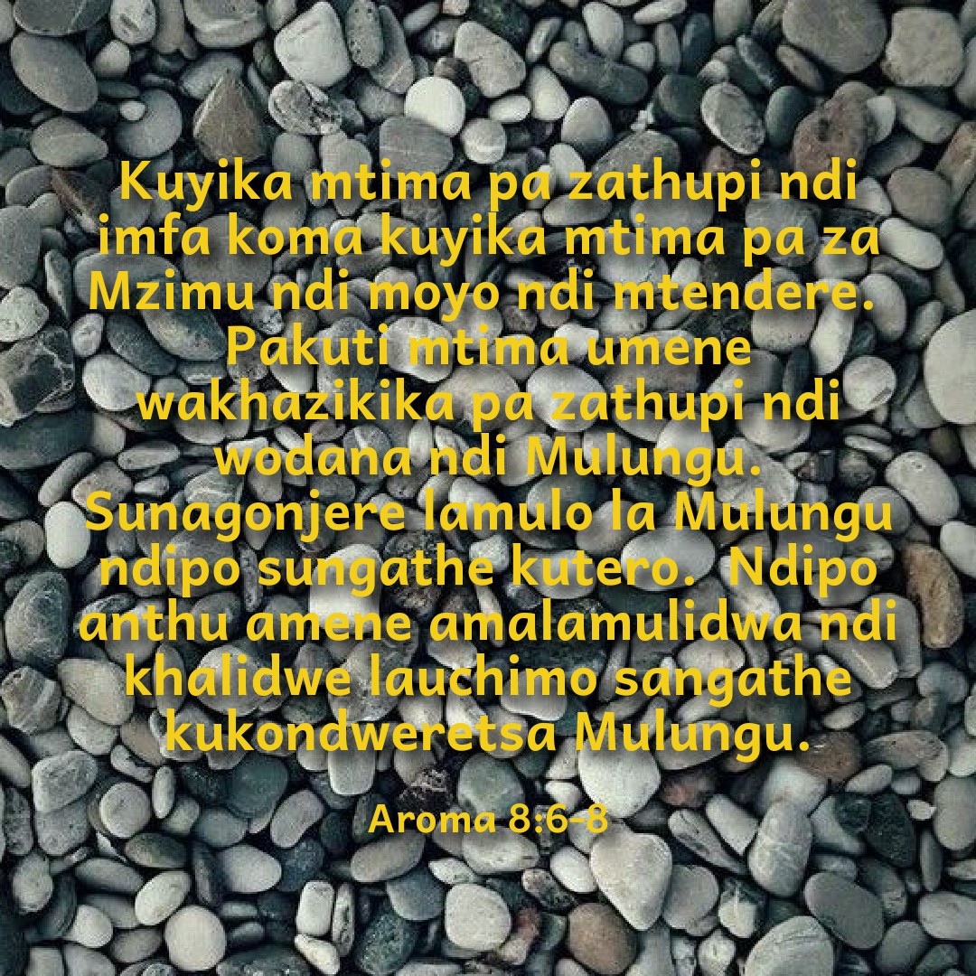 @Andy🇲🇼