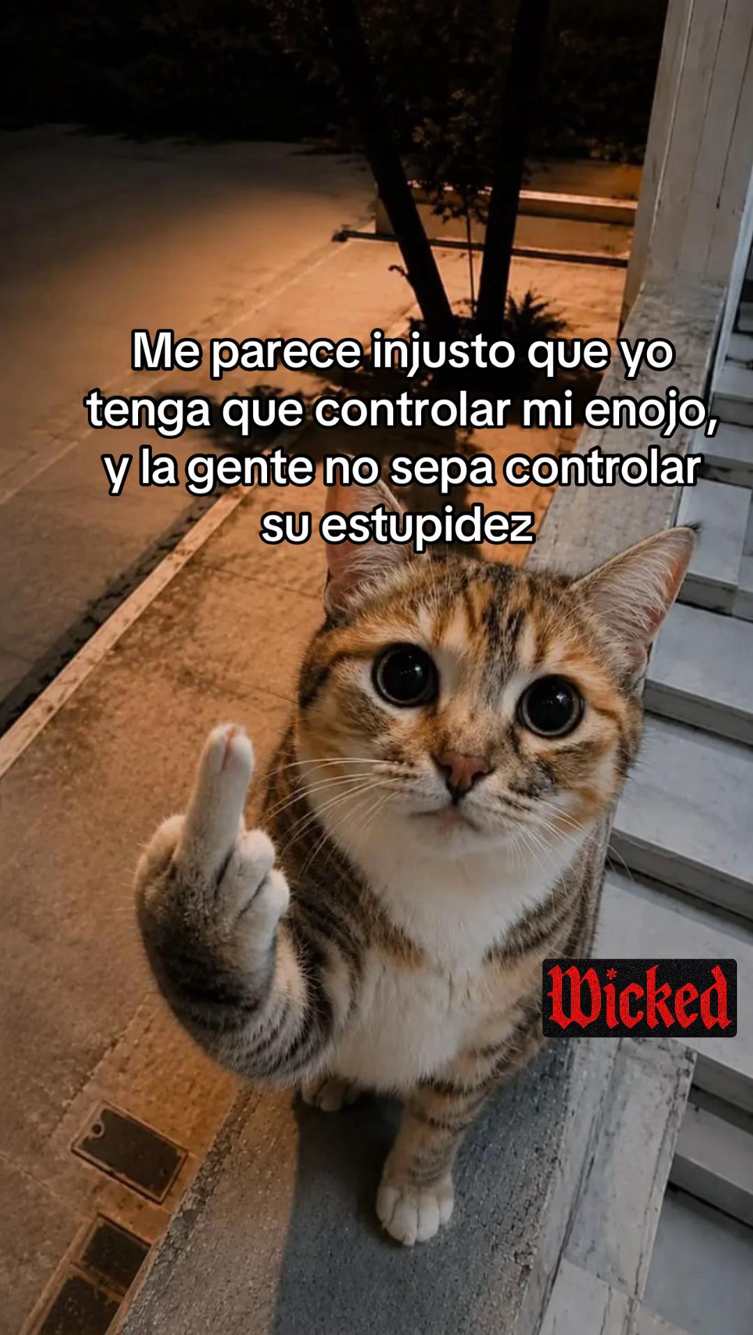 @ArturoBooe🦥☔️