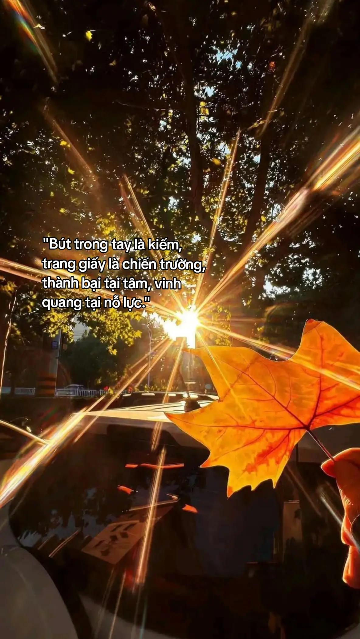 @☼