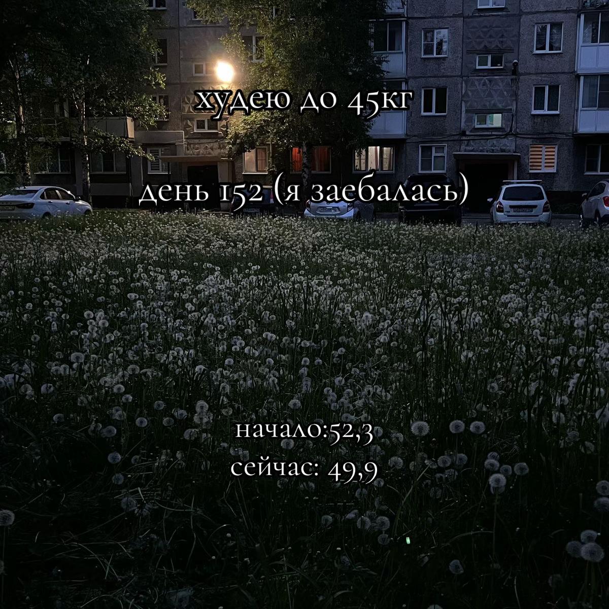 @вечно худеющая🌷