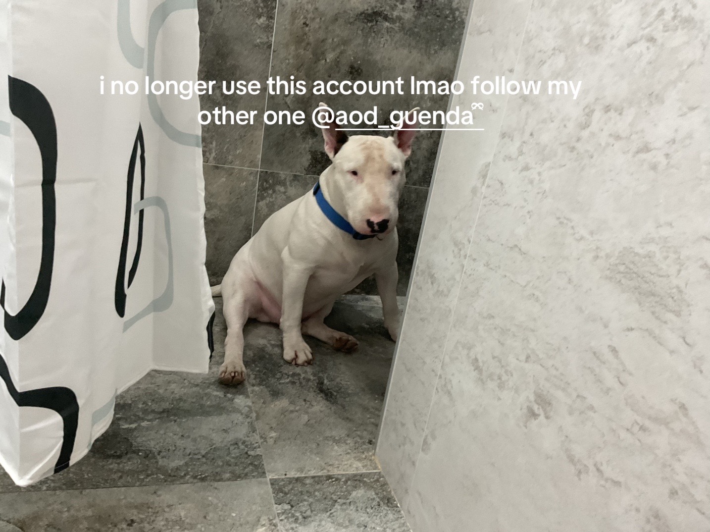 @AOD_ɢᴜᴇɴᴅᴀ