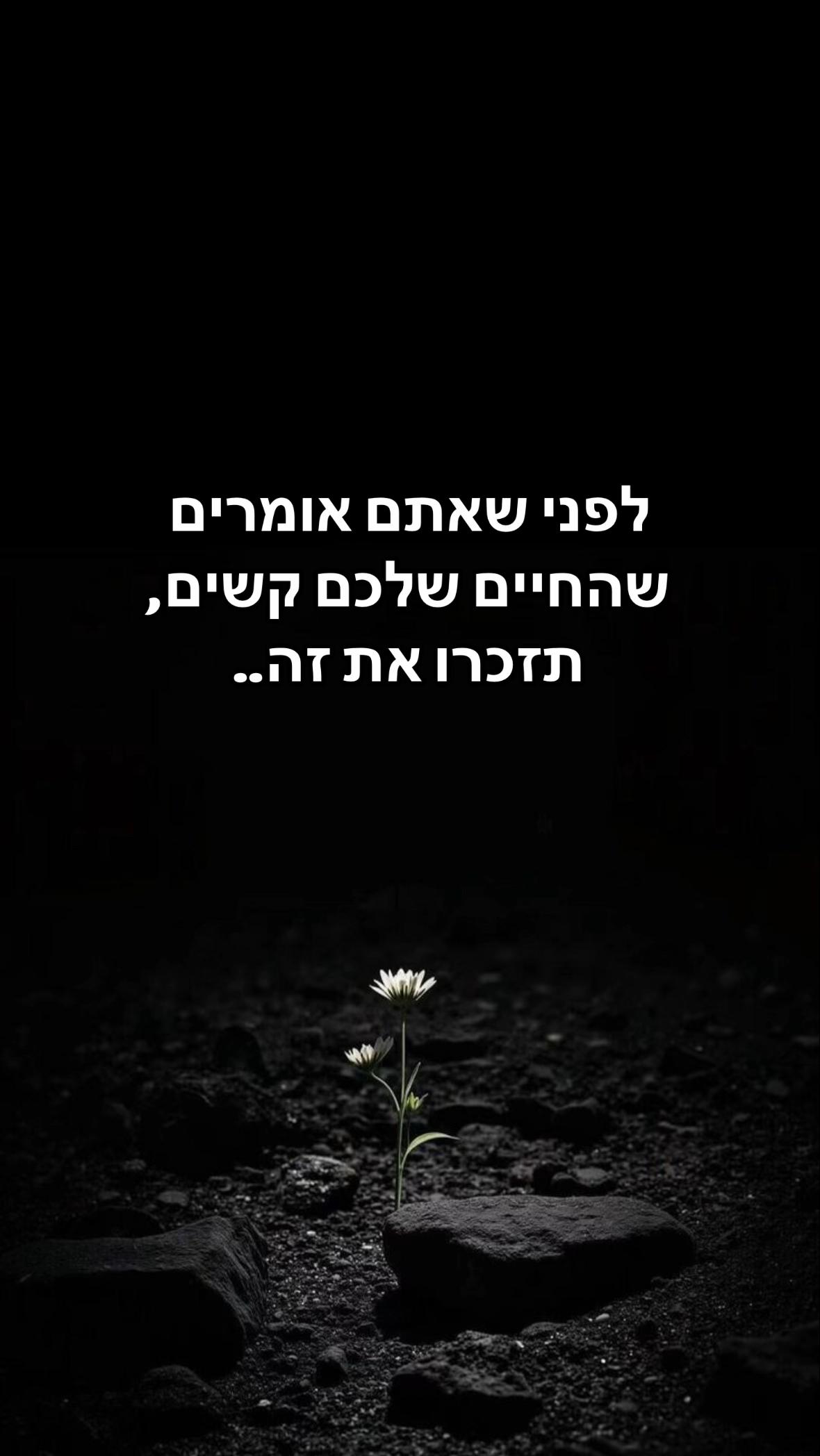 @נפלאות התבונה