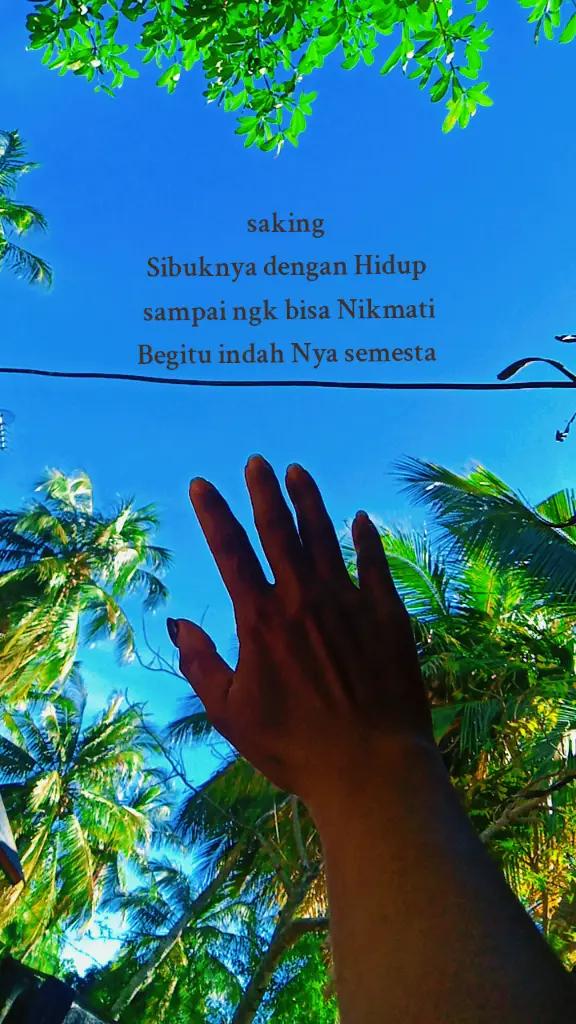 @Godfredo🌻