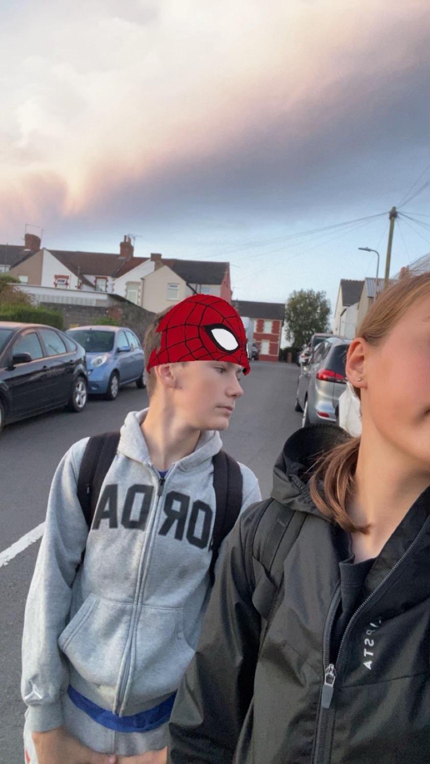@picklevr